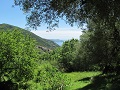 Esterni